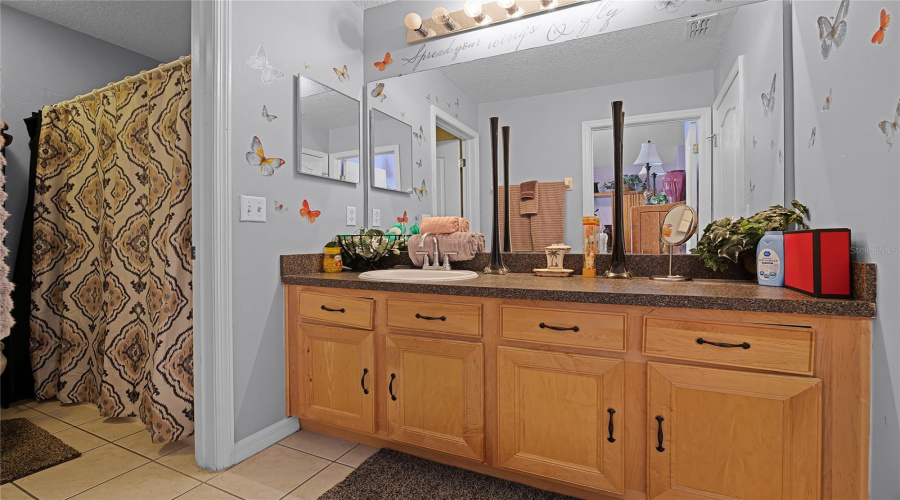 Jack and Jill Bathroom with bath tub and shower combo