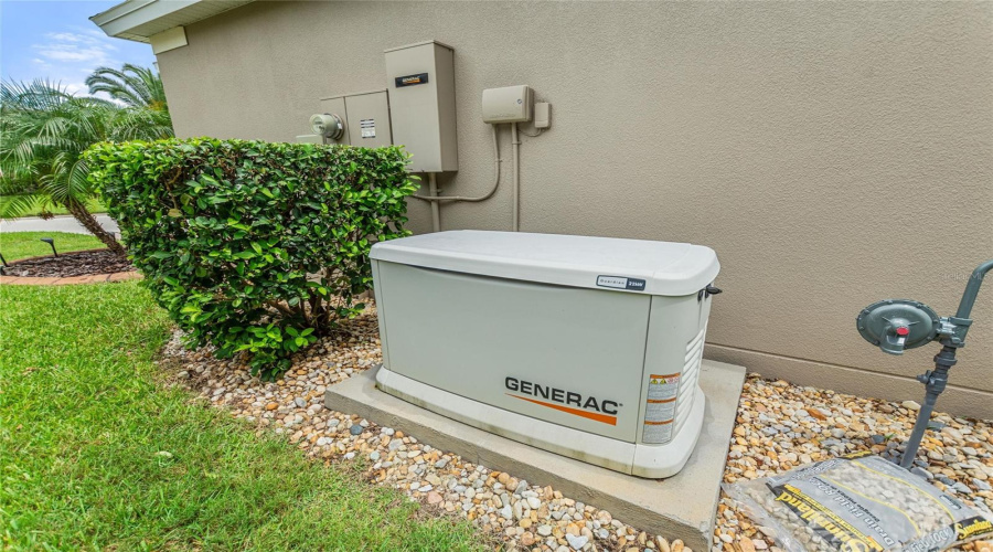 22 kW whole house natural gas generator