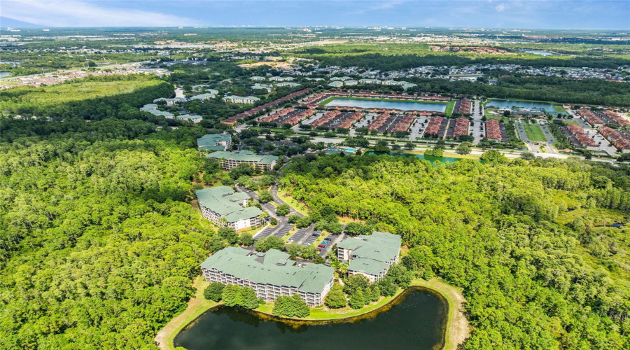 Ariel view