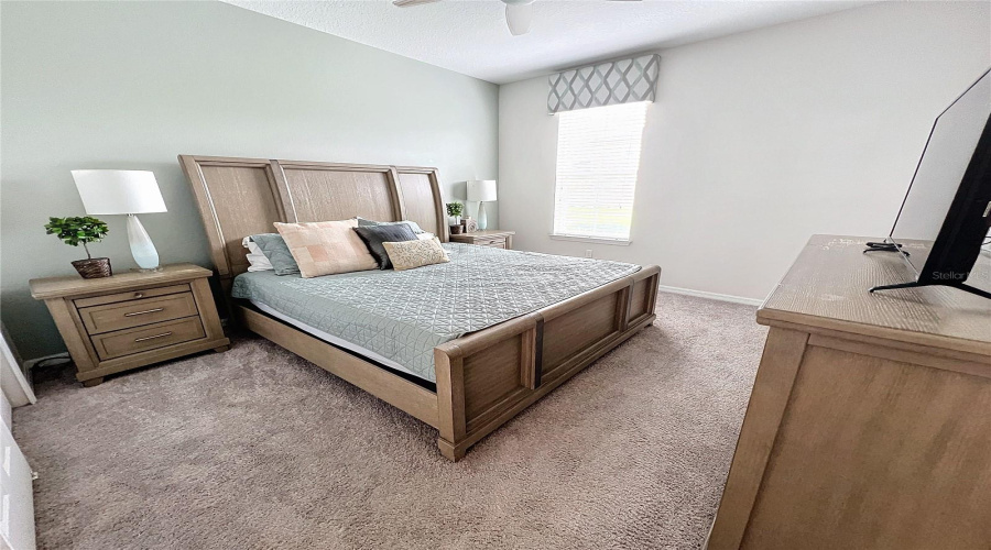 Downstairs Bedroom