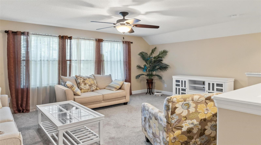 Bonus Room / Living Room