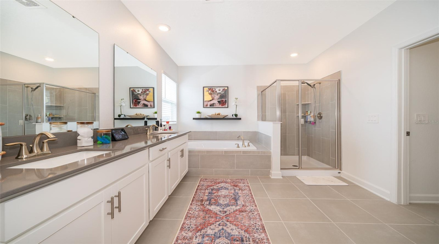 Owner's bathroom