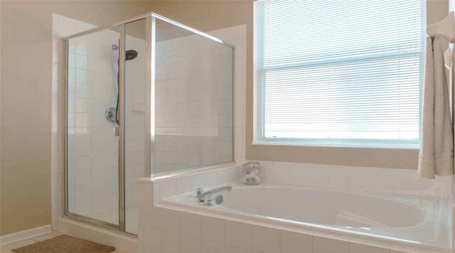KISSIMMEE, Florida 34747, 5 Bedrooms Bedrooms, ,3 BathroomsBathrooms,Residential,For Sale,FAN PALM,0,MFRO6339969