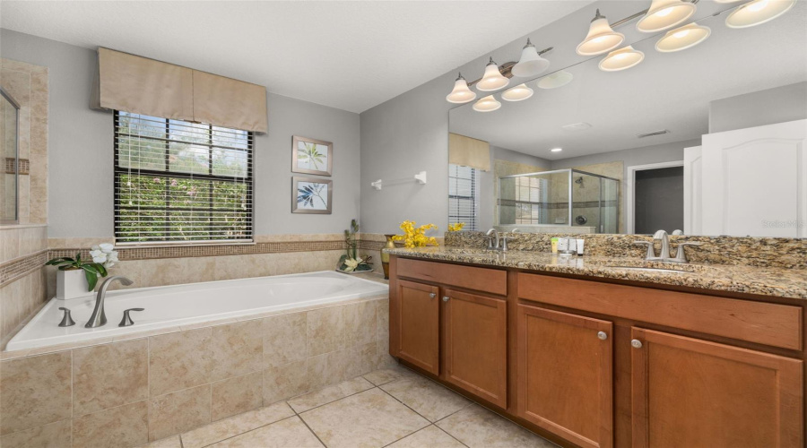 DAVENPORT, Florida 33896, 5 Bedrooms Bedrooms, ,4 BathroomsBathrooms,Residential,For Sale,MOON VALLEY,0,MFRO6340154
