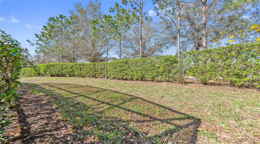 DAVENPORT, Florida 33837, 6 Bedrooms Bedrooms, ,5 BathroomsBathrooms,Residential,For Sale,SOLTERRA,0,MFRS5121088