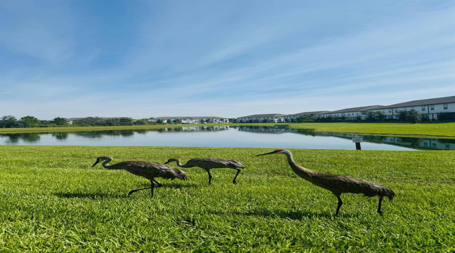 DAVENPORT, Florida 33896, 3 Bedrooms Bedrooms, ,2 BathroomsBathrooms,Residential,For Sale,PLANTATION LANE,0,MFRO6341335