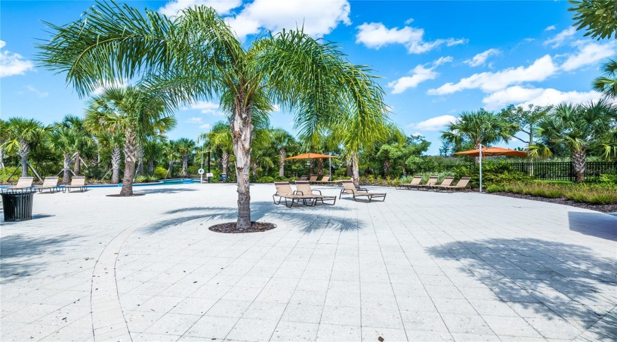 DAVENPORT, Florida 33837, 7 Bedrooms Bedrooms, ,5 BathroomsBathrooms,Residential,For Sale,OAKMOSS,0,MFRO6283987