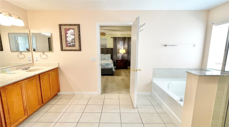 Main Bedroom bathroom