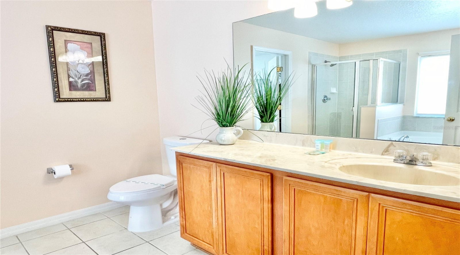 Main Bedroom bathroom
