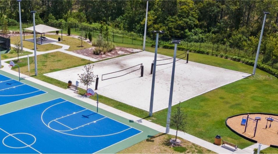 Volleyball