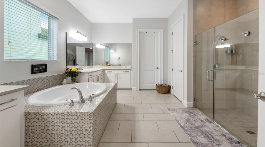 ORLANDO, Florida 32836, 7 Bedrooms Bedrooms, ,7 BathroomsBathrooms,Residential,For Sale,CHILTON,0,MFRO6342273