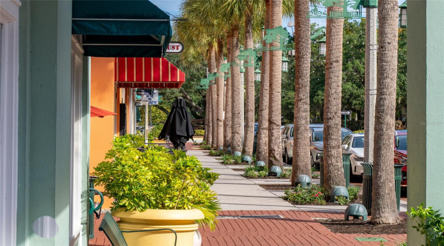 CELEBRATION, Florida 34747, 3 Bedrooms Bedrooms, ,2 BathroomsBathrooms,Residential,For Sale,FALLING LEAF,0,MFRS5134235