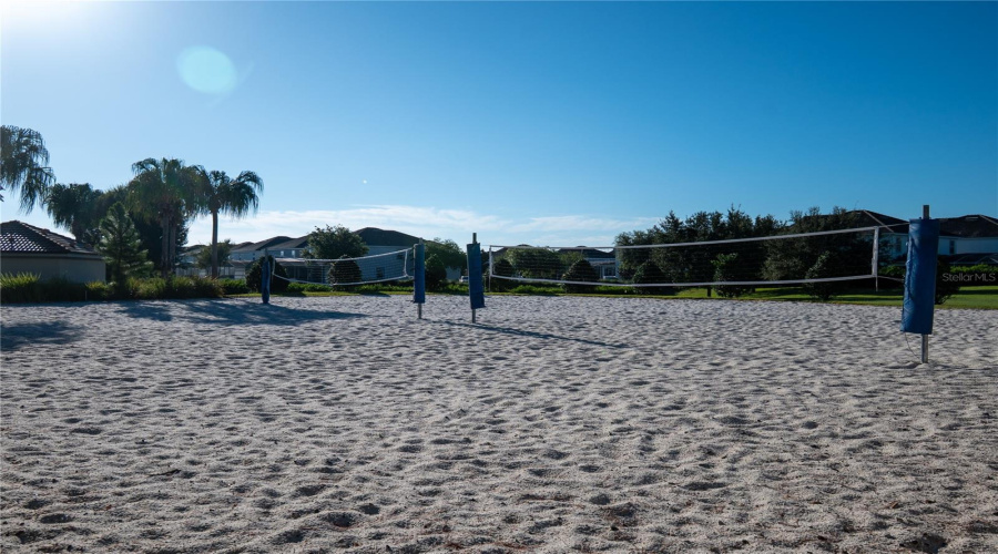 Oasis Club beach volleyball