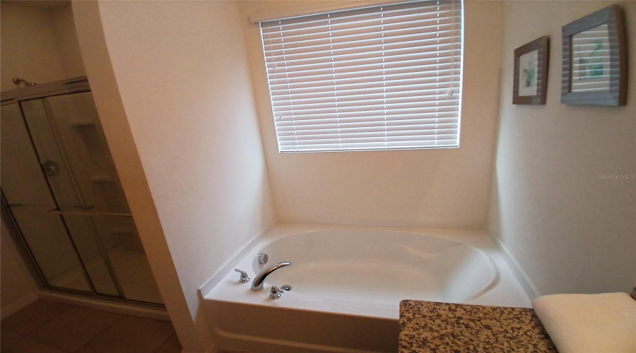 DAVENPORT, Florida 33837, 5 Bedrooms Bedrooms, ,4 BathroomsBathrooms,Residential,For Sale,WILDWOOD,0,MFRTB8426096