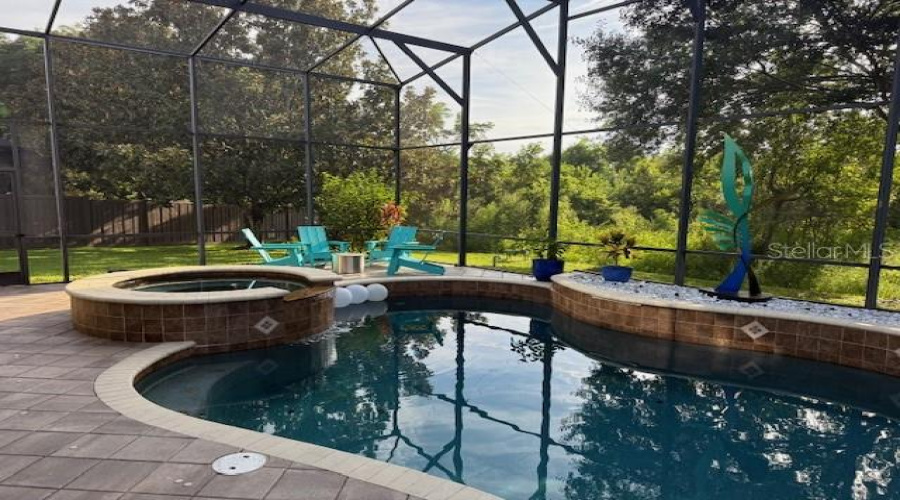 Spa and Pool