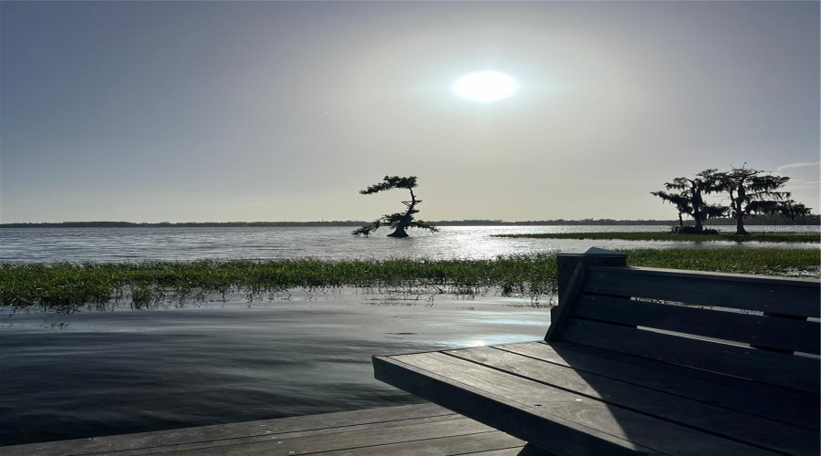 View Lake sheen from Community Dock