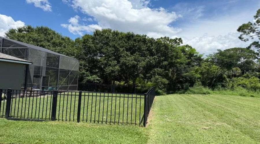 Fenced Dog area