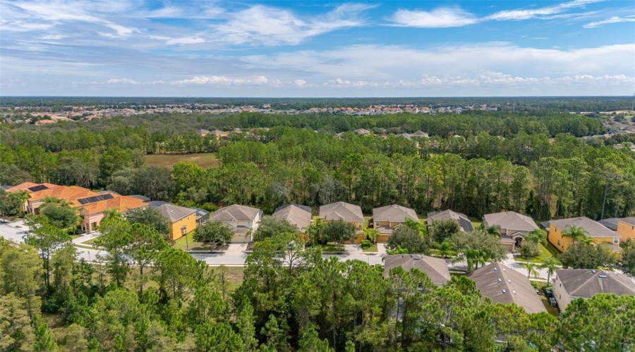 DAVENPORT, Florida 33837, 6 Bedrooms Bedrooms, ,4 BathroomsBathrooms,Residential,For Sale,ORANGE COSMOS,0,MFRS5134645