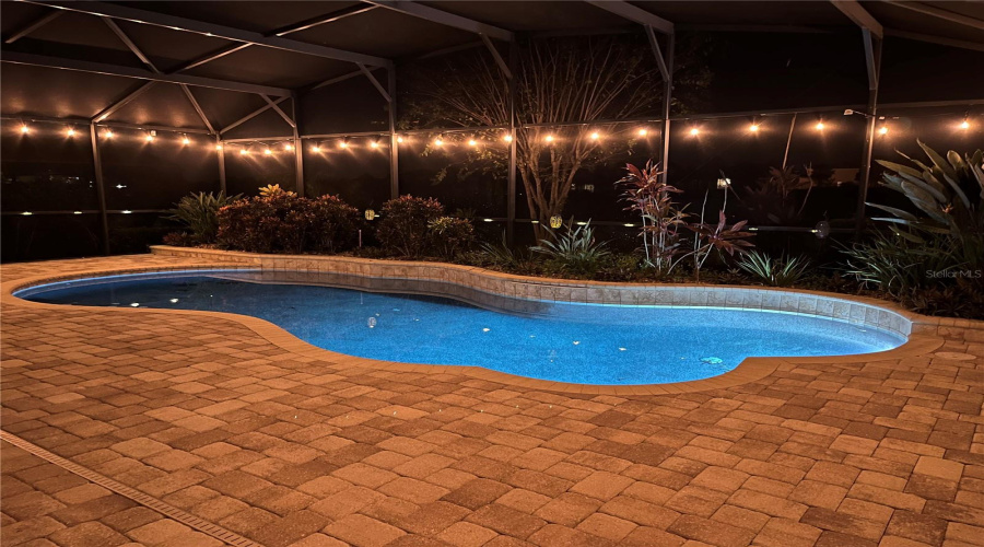 DAVENPORT, Florida 33896, 5 Bedrooms Bedrooms, ,3 BathroomsBathrooms,Residential,For Sale,DOVE VALLEY,0,MFRO6246888