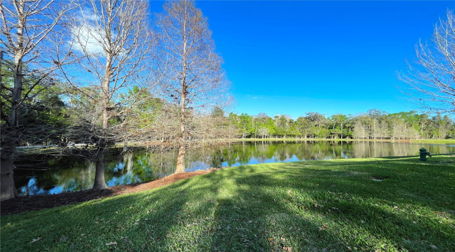 CELEBRATION, Florida 34747, 2 Bedrooms Bedrooms, ,2 BathroomsBathrooms,Residential,For Sale,STONECUTTER,0,MFRO6337694