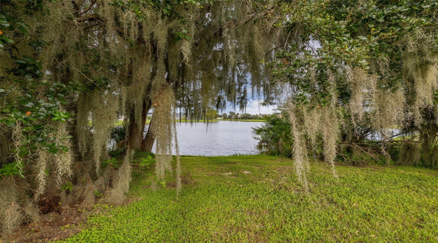 KISSIMMEE, Florida 34746, 4 Bedrooms Bedrooms, ,2 BathroomsBathrooms,Residential,For Sale,THE OAKS,0,MFRS5134772