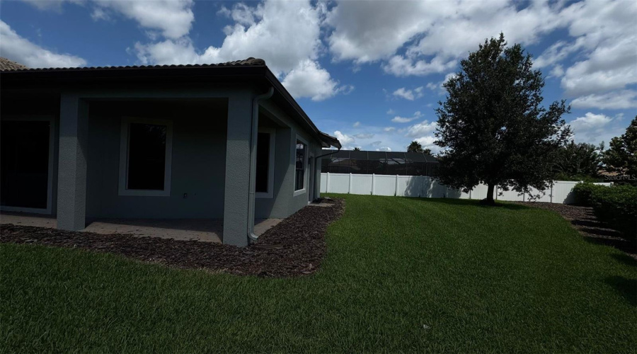 backyard right side