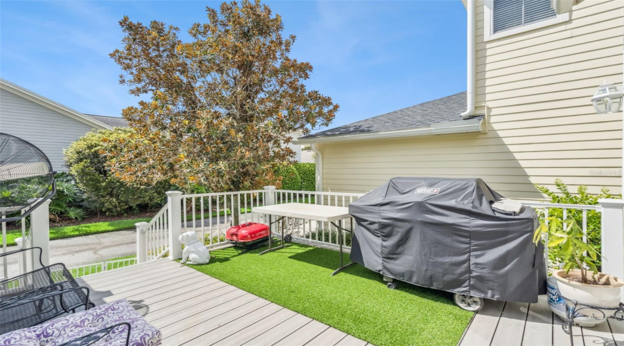 Back Patio