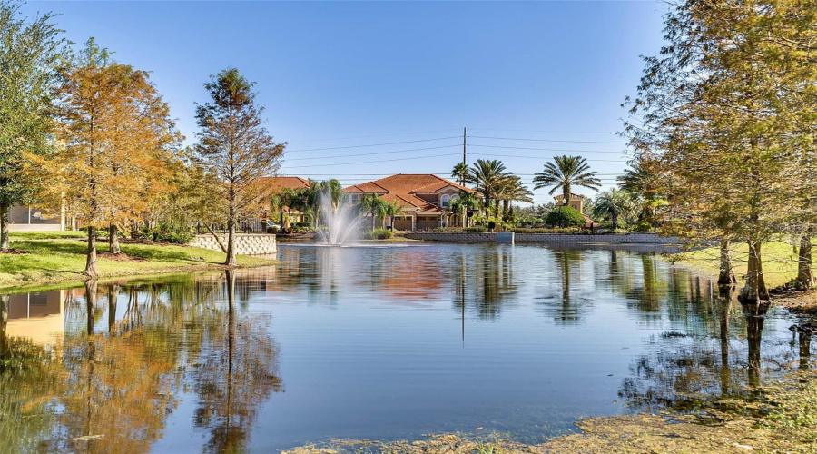 Peaceful community pond, perfect for enjoying serene water views and walks.