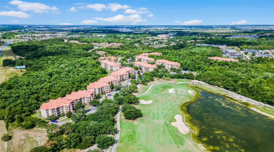 Aerial Community View