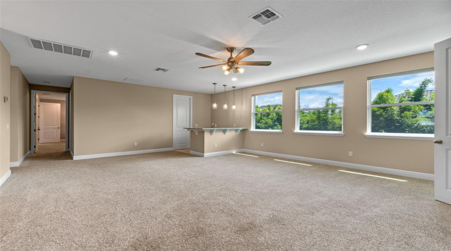Loft with Wet Bar and Spacious Walk-In Closet