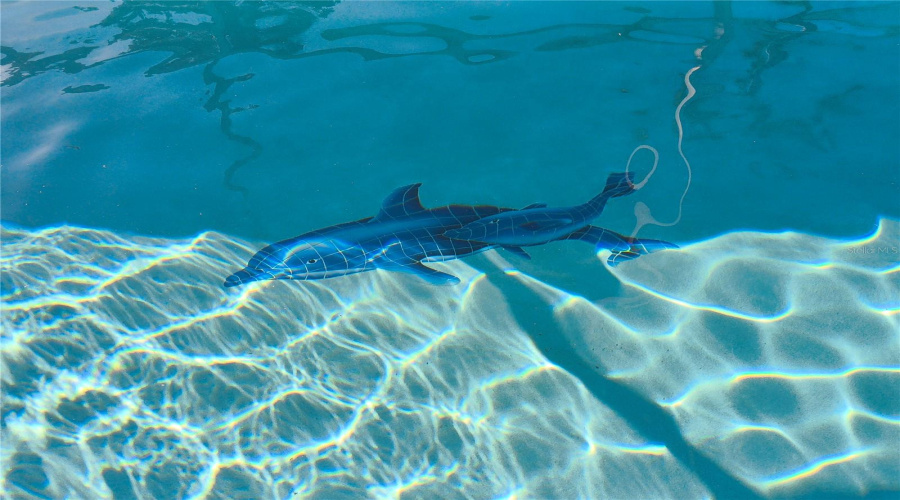 DAVENPORT, Florida 33897, 6 Bedrooms Bedrooms, ,4 BathroomsBathrooms,Residential,For Sale,BELFRY,0,MFRO6346296