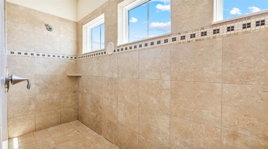 Master shower with custom tile mosaic motif.