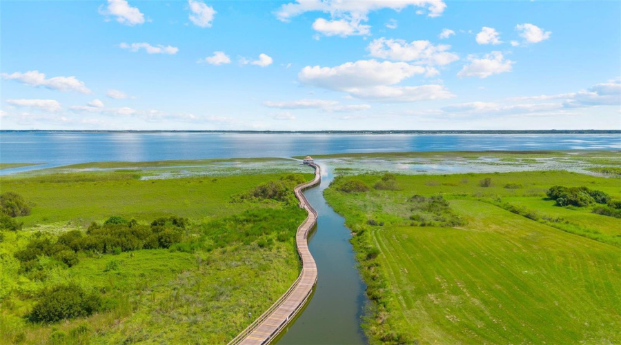 Get ready to embark on your Florida wildlife adventure