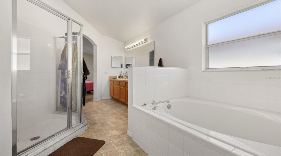 Master Shower/ Bath