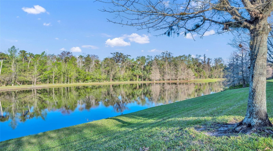 Stunning lake views