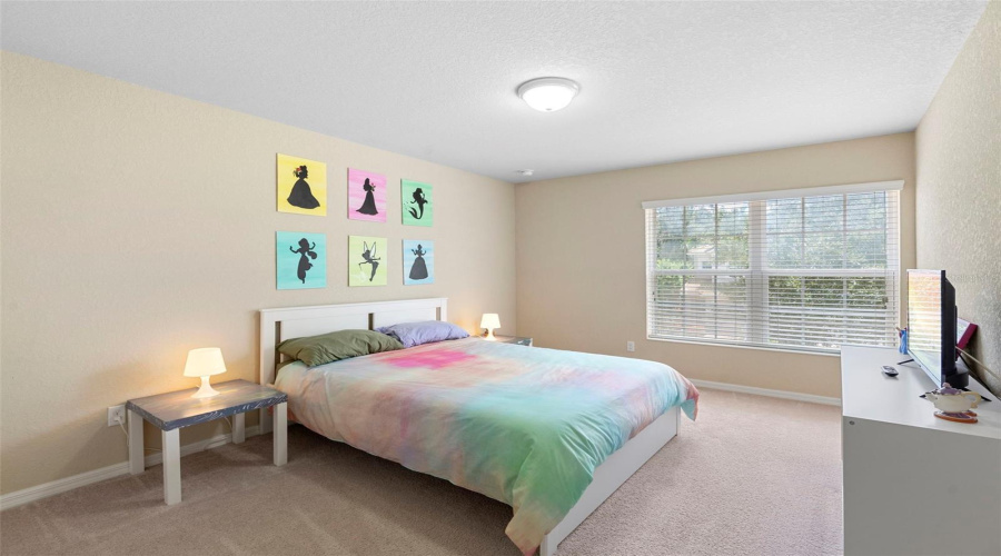 Large 2nd bedroom