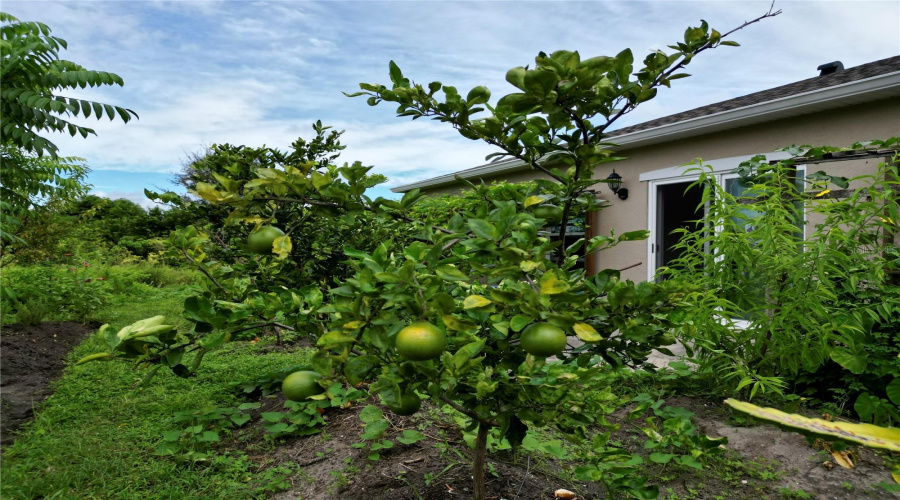 KISSIMMEE, Florida 34746, 4 Bedrooms Bedrooms, ,2 BathroomsBathrooms,Residential,For Sale,KEY COLONY,0,MFRS5135448
