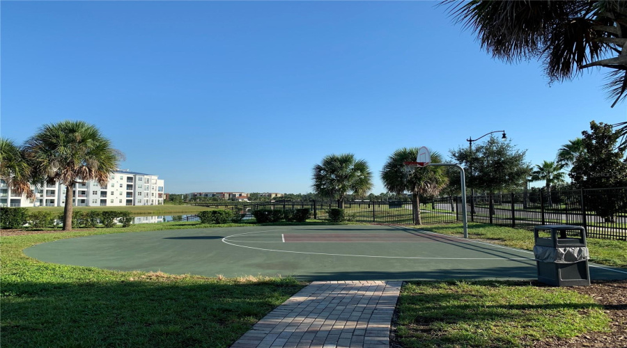 Basketball court
