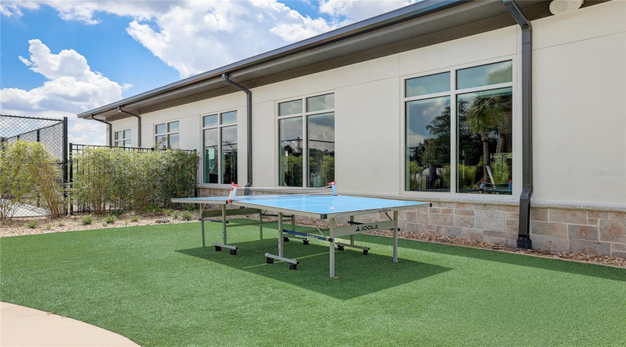 Ping pong table