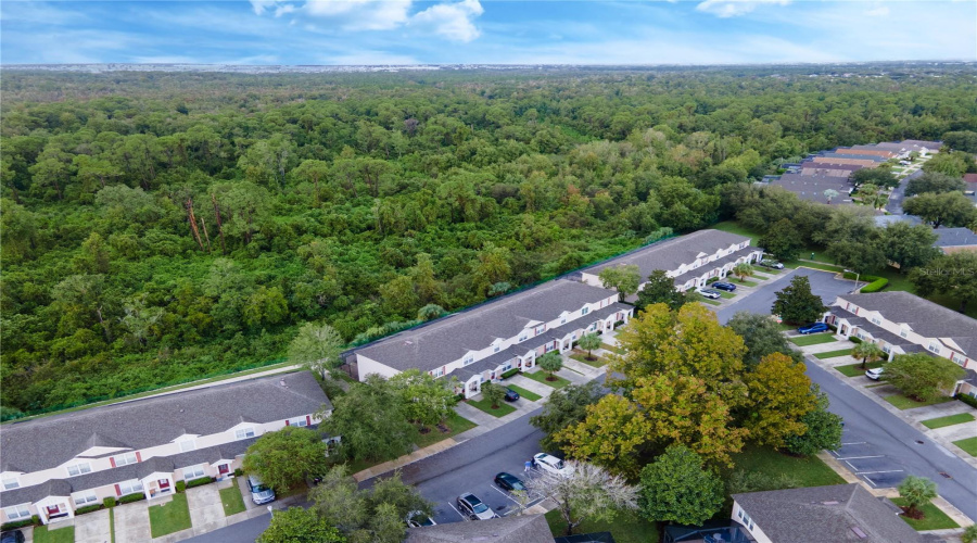 KISSIMMEE, Florida 34747, 3 Bedrooms Bedrooms, ,3 BathroomsBathrooms,Residential,For Sale,SILVER PALM,0,MFRO6250059