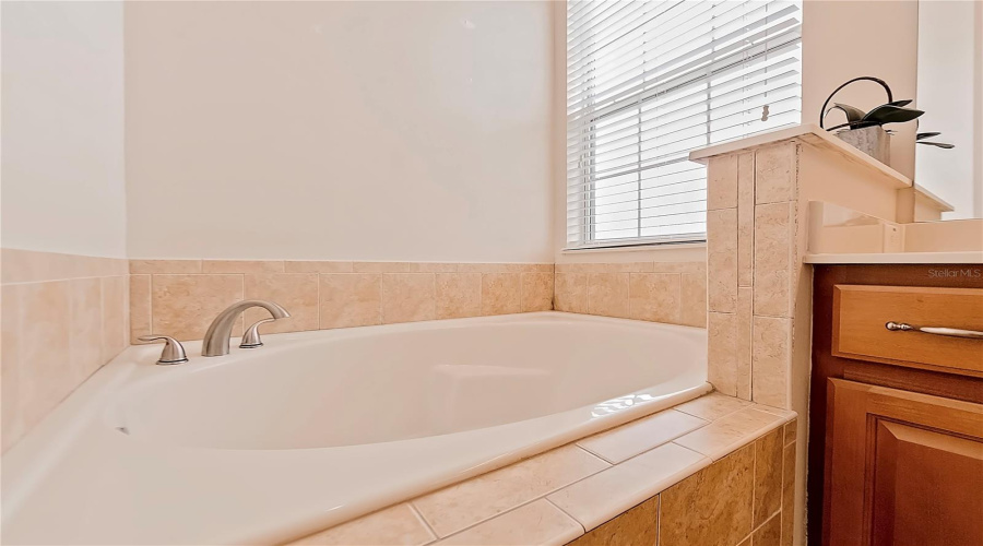 REUNION, Florida 34747, 5 Bedrooms Bedrooms, ,4 BathroomsBathrooms,Residential,For Sale,LINKSIDE,0,MFRO6349105