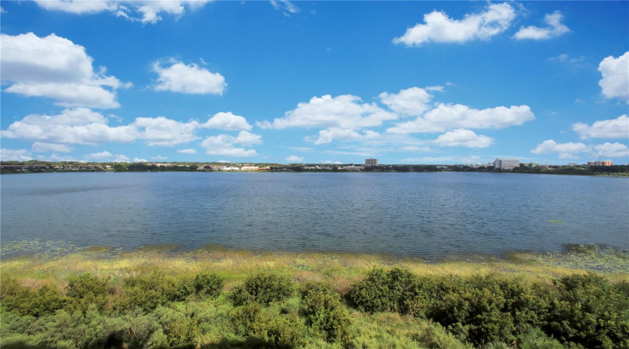 ORLANDO, Florida 32836, 2 Bedrooms Bedrooms, ,2 BathroomsBathrooms,Residential,For Sale,THE ESPLANADE,0,MFRO6348992