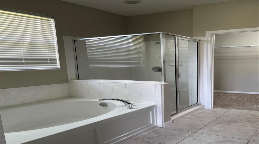 Separate Garden Tub and Stand up Shower