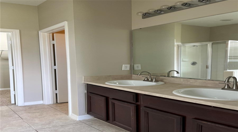 Vanity with double sinks