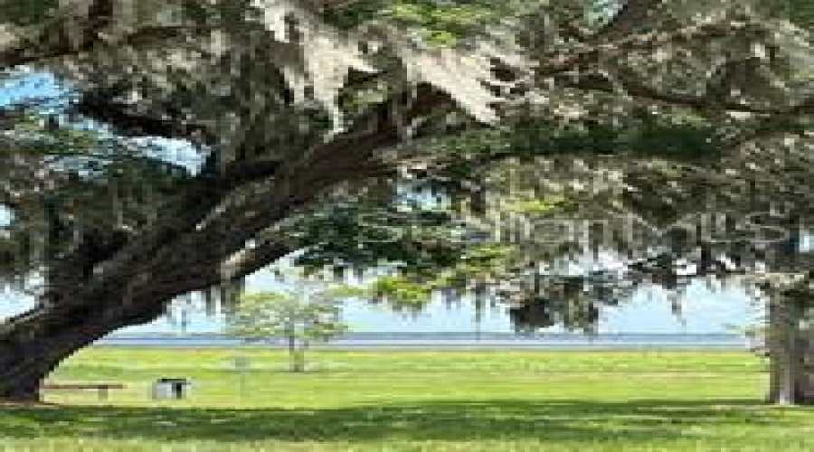 View of Lake Toho
