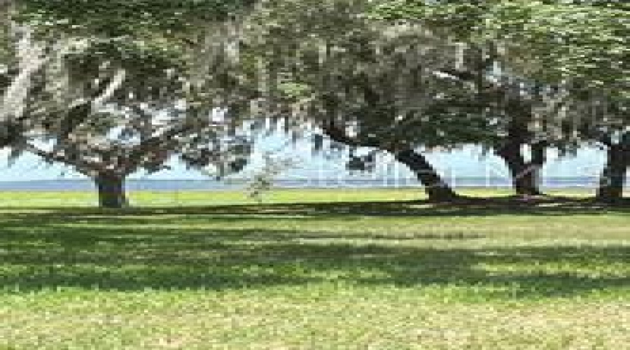 View of Lake Toho