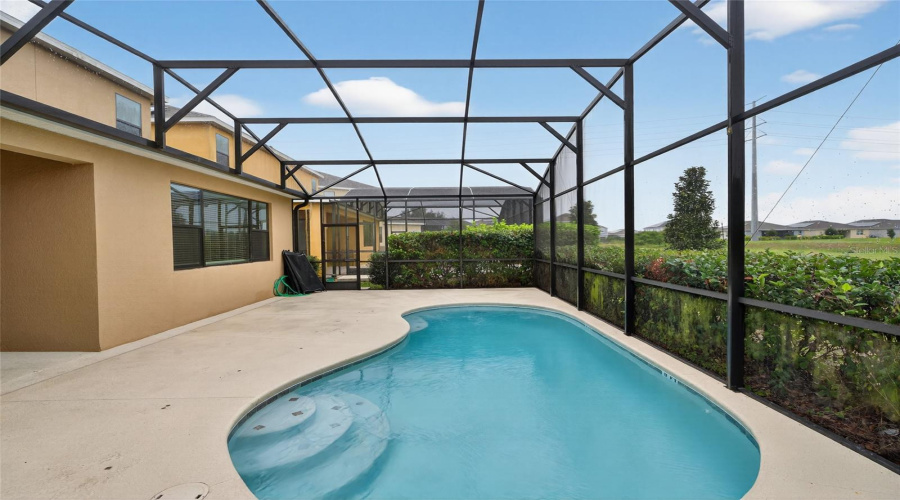 Deck and pool