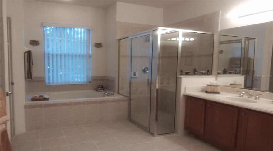 KISSIMMEE, Florida 34746, 4 Bedrooms Bedrooms, ,3 BathroomsBathrooms,Residential,For Sale,BOAT COVE,0,MFRS5135665