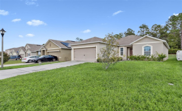Property Search
