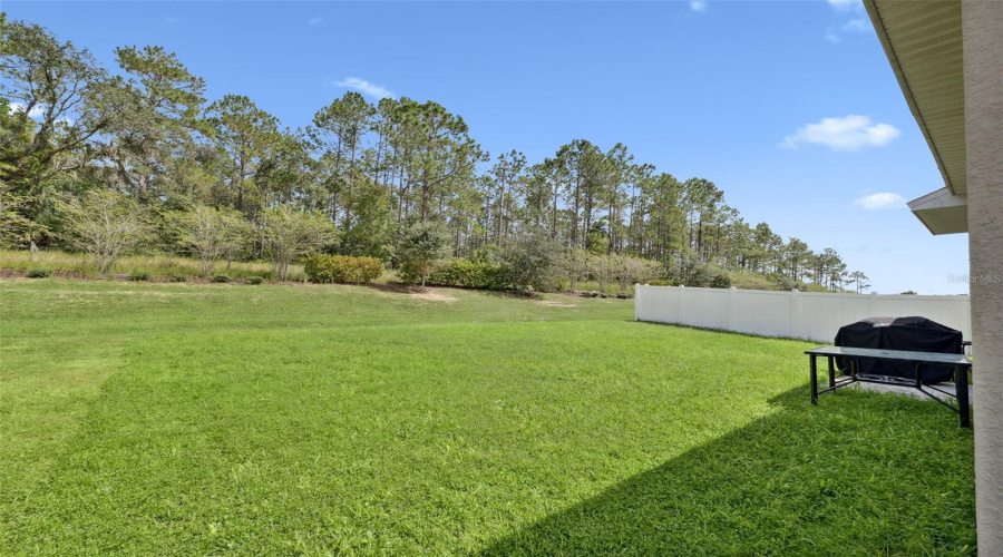 DAVENPORT, Florida 33897, 3 Bedrooms Bedrooms, ,2 BathroomsBathrooms,Residential,For Sale,SHADY TREE,0,MFRS5135875
